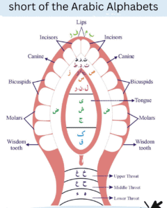 Add a subheading 1 e1757959989696