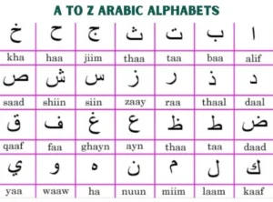 Blue and Yellow Modern School and College Open Admission Promotion Facebook Post e1757960056699