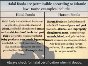 Understanding Halal and Haram Products