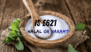 E621 Halal or Haram What Every Muslim Should Know