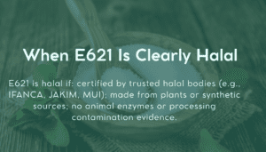 When E621 Is Clearly Halal